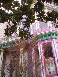 Magnolia and the Painted Lady